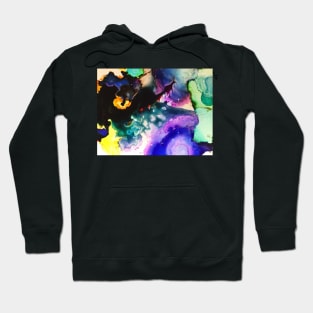 rain/bow Hoodie